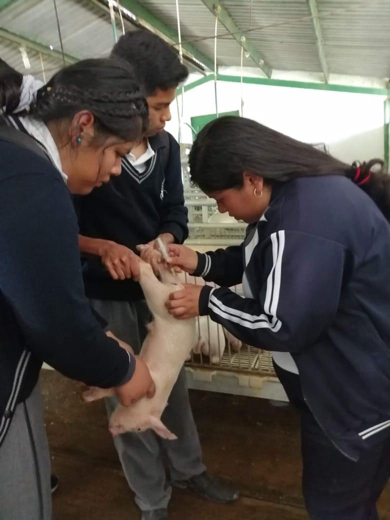 Imagen si te drogas te dañas